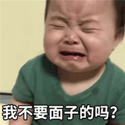 阜阳第三条高铁进入全面架梁施工阶段